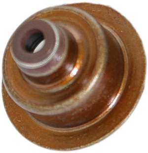 Valve steam seal