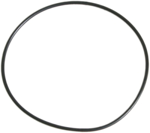 O-ring