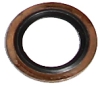 Steel seal