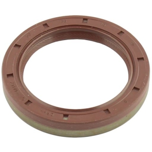 Oil seal