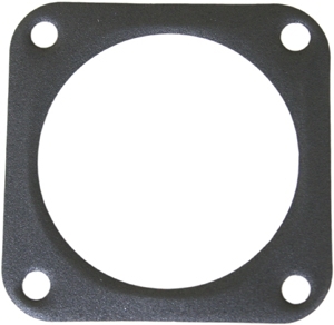 Gasket/seal