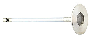 Engine valve intake