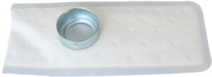 Filters for fuel pump