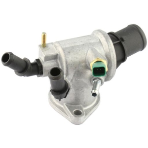Thermostat house