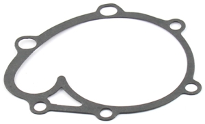 Water pump gasket for 26430681