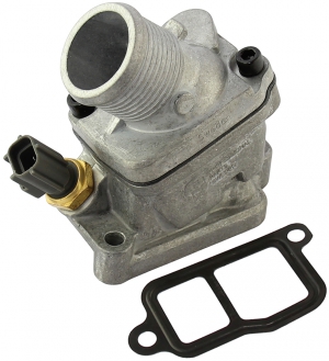Thermostat house