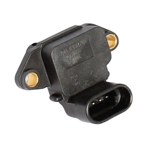 Map sensor