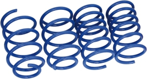Coil spring sport kit