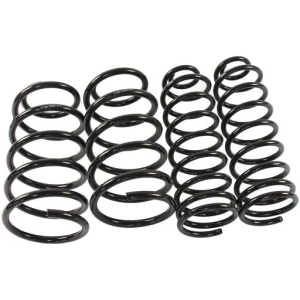 Coil spring sport kit