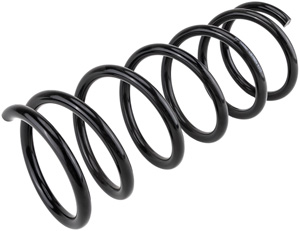 Coil spring rear