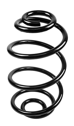 Coil spring rear
