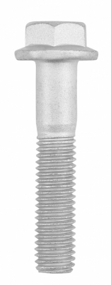 Strut bolt