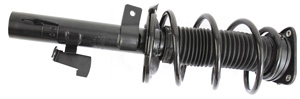 Shock absorber kit with spring and strut mounts