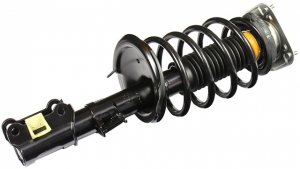 Shock absorber kit with spring and strut mounts
