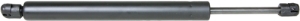 Gas spring rear