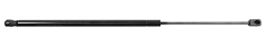 Gas spring rear
