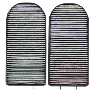Fresh air filter carbon