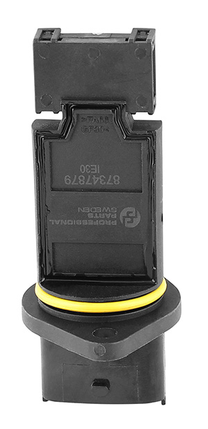 Air mass sensor