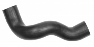 Charger int hose with clamps