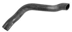 Radiator hose lower