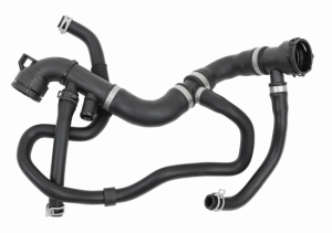 Radiator coolant hose lower